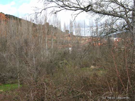 Retiendas: Carbonífero