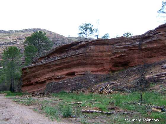 Riba de Saelices: Buntsandstein: Conglomerados y arenisca