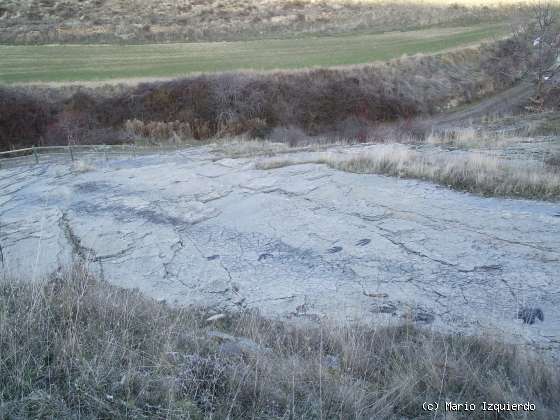 Bretún: Icnofósiles de terópodos y ripple-marks