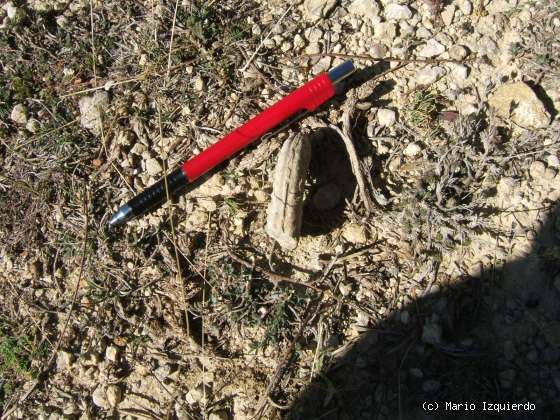 Orihuela del Tremedal