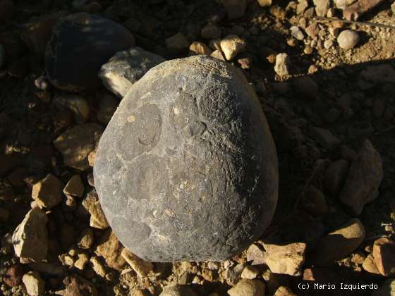 Aliaga - Parque Geológico