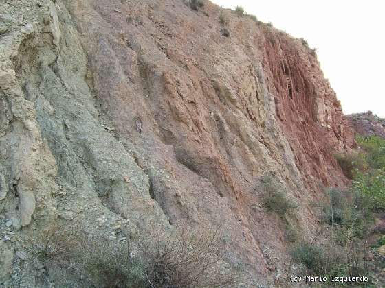 La Hoz de la Vieja