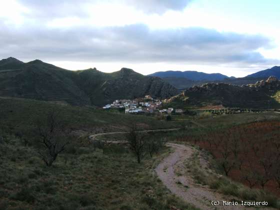 Purroy: Minerales de Hierro