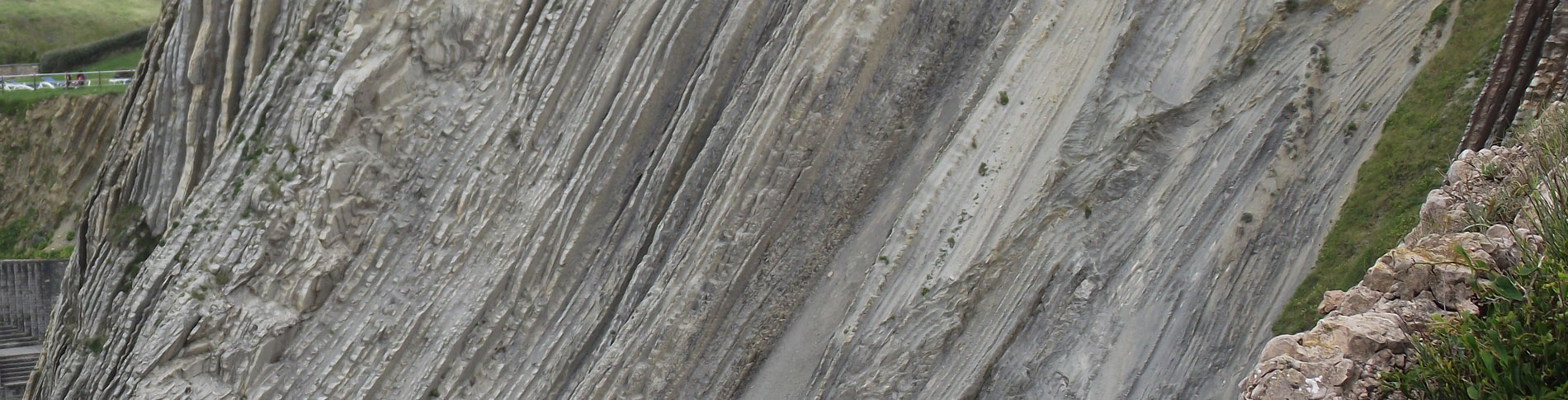 Flysch