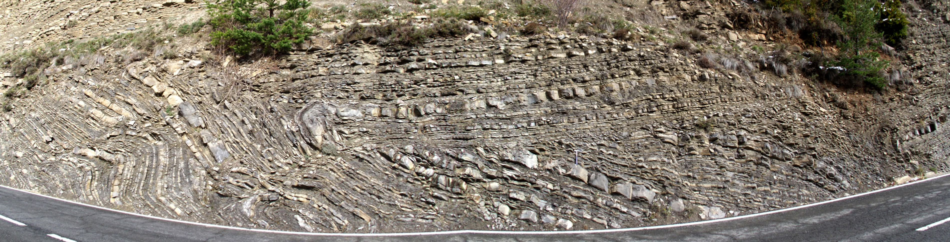 Flysch